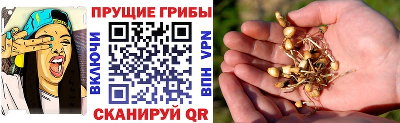 Галлюциногенные грибы мухоморы  Чишмы 